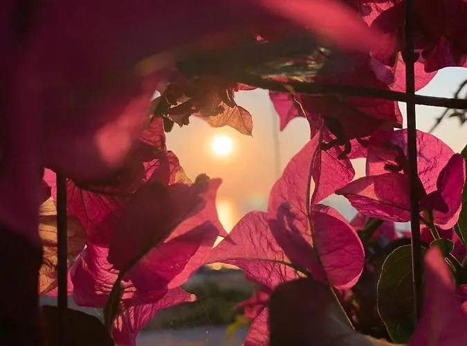 Appartement Kenza Saranda